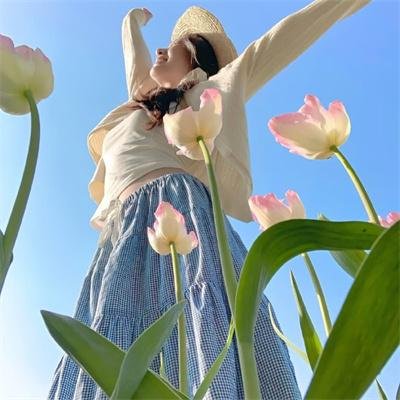 暗金丑岛君